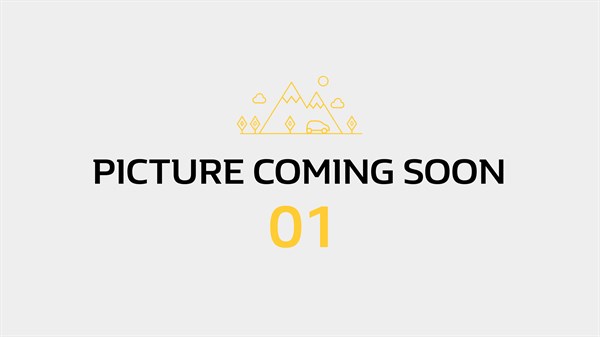 Zoe E-Tech électrique 